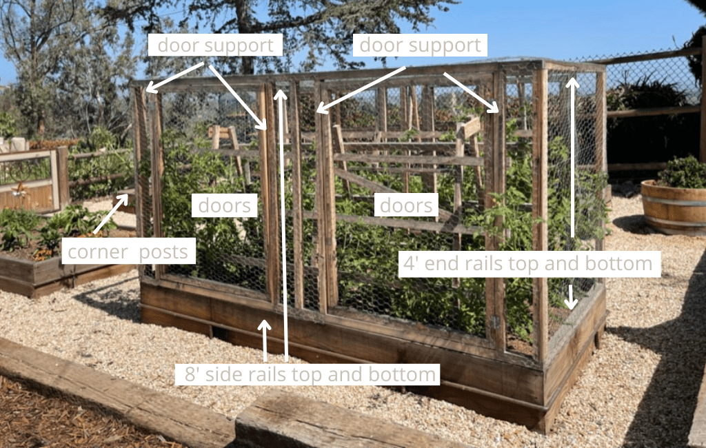 How to protect your tomato plantsGraphic