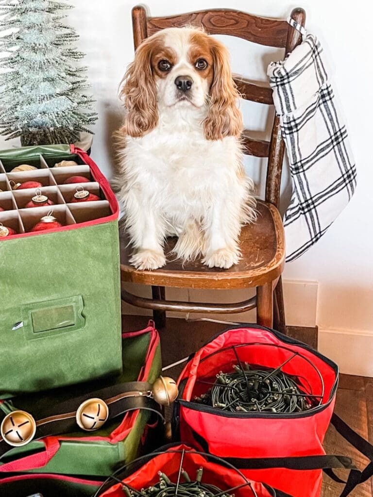 Christmas Storage Solutions 2022 with Otis